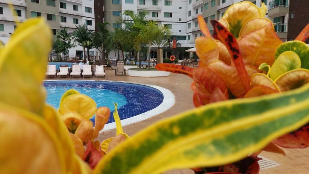 Apartamento Riviera Park Apartment กัลดัสโนวัส ภายนอก รูปภาพ